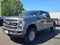 2021 Ford F-250 Platinum