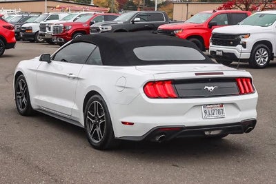 2020 Ford Mustang EcoBoost