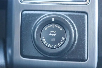 2020 Ford Expedition Max Platinum