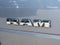 2020 RAM 2500 Laramie Crew Cab 4x4 6'4" Box
