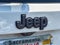 2021 Jeep Renegade 80th Anniversary